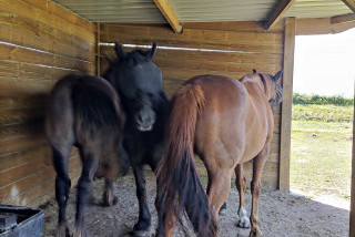 Hébergements randonnées équestres Bella becca ranch Hébergements randonnées équestres Bella becca ranch