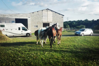 Hébergements randonnées équestres Les Écuries du Lambon Hébergements randonnées équestres Les Écuries du Lambon