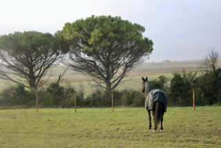 Domaine de KIBA