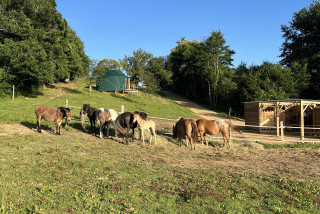 Hébergements randonnées équestres Ranch des Mearas Hébergements randonnées équestres Ranch des Mearas