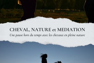 Hébergements randonnées équestres Ecurie des Rosiers Hébergements randonnées équestres Ecurie des Rosiers
