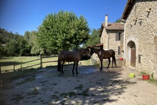 Hébergements randonnées équestres La Clef des Saules Hébergements randonnées équestres La Clef des Saules