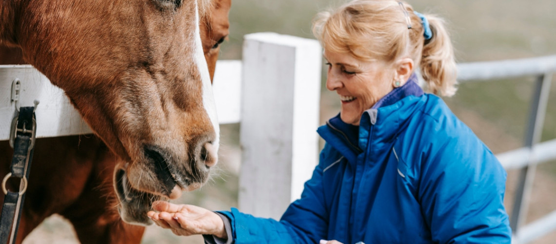 Alimentation du cheval, le guide pour bien nourrir vos chevaux Alimentation du cheval, le guide pour bien nourrir vos chevaux