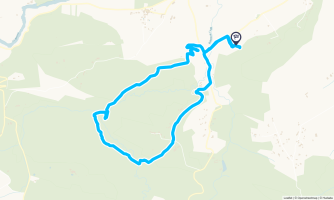 Randonnée en forêt - Randonnée équestre Randonnée en forêt - Randonnée équestre