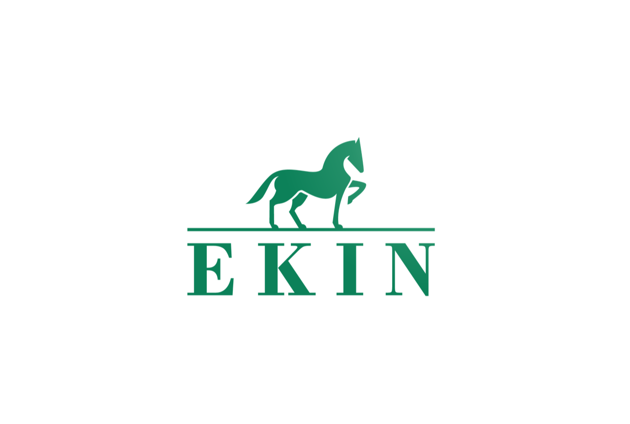 Ekin Ekin